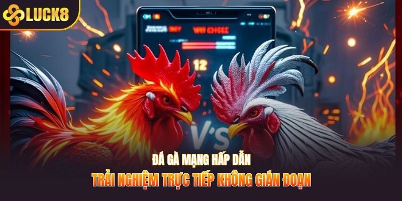 đá gà mạng